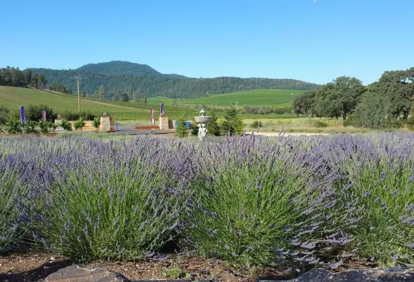 Aamiaismajoitus (B&B) Thorn Hill Vineyards Villa Suites