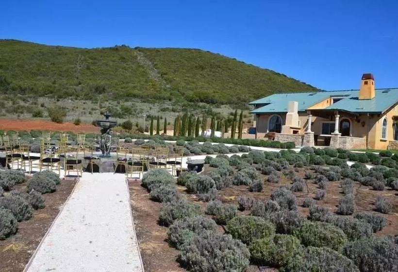 Aamiaismajoitus (B&B) Thorn Hill Vineyards Villa Suites