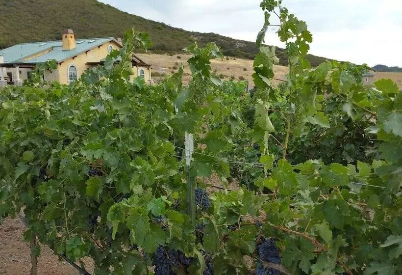 Aamiaismajoitus (B&B) Thorn Hill Vineyards Villa Suites