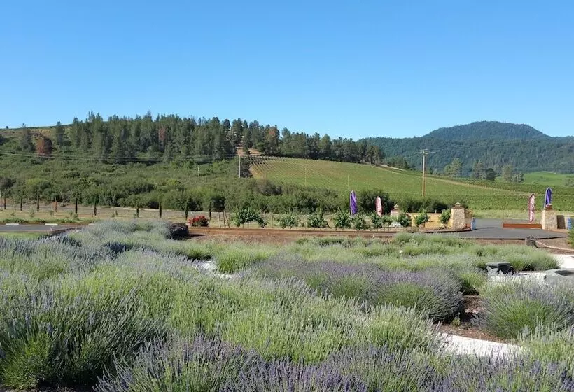 Aamiaismajoitus (B&B) Thorn Hill Vineyards Villa Suites