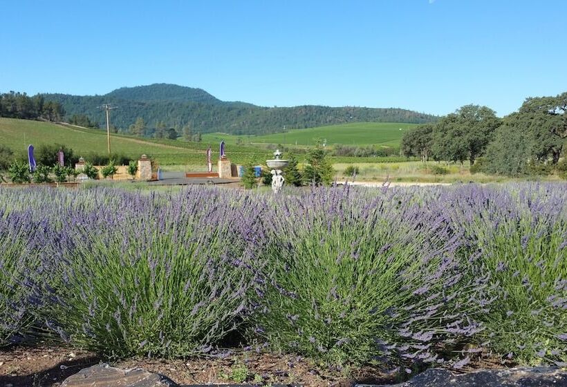 Bed and Breakfast Thorn Hill Vineyards Villa Suites