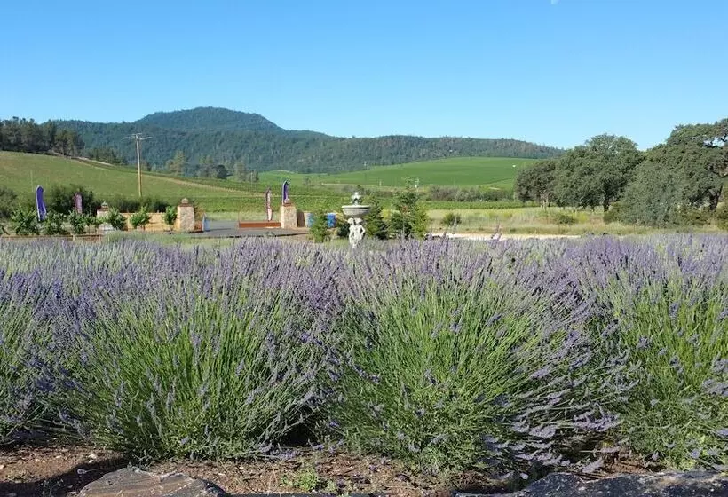 Aamiaismajoitus (B&B) Thorn Hill Vineyards Villa Suites