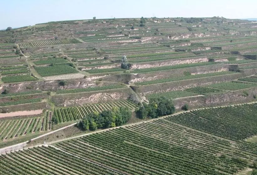 Aamiaismajoitus (B&B) Weingut Und Gästehaus Berger