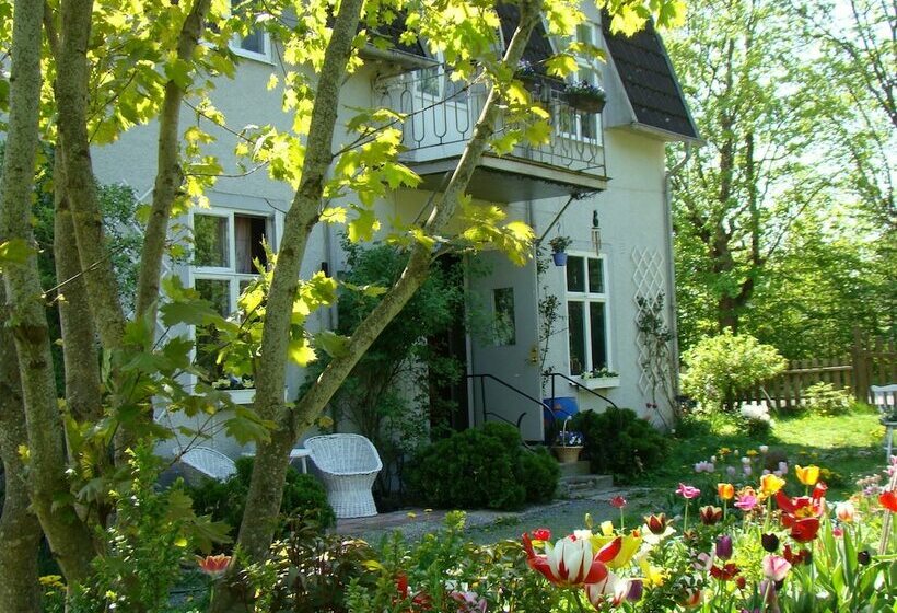 Bed and Breakfast Wonderful Home