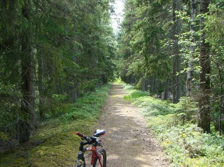 Bed and Breakfast Wonderful Home