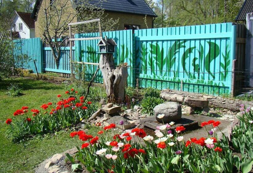 Bed and Breakfast Wonderful Home