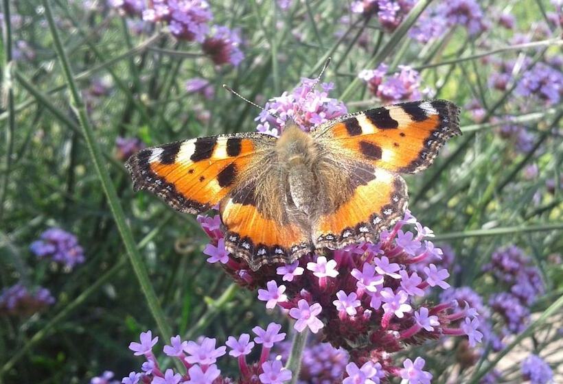 Bed and Breakfast Wonderful Home
