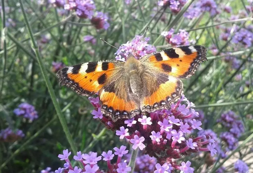 Aamiaismajoitus (B&B) Wonderful Home