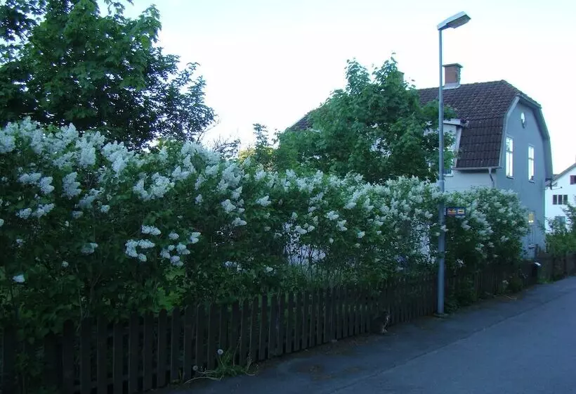 Aamiaismajoitus (B&B) Wonderful Home