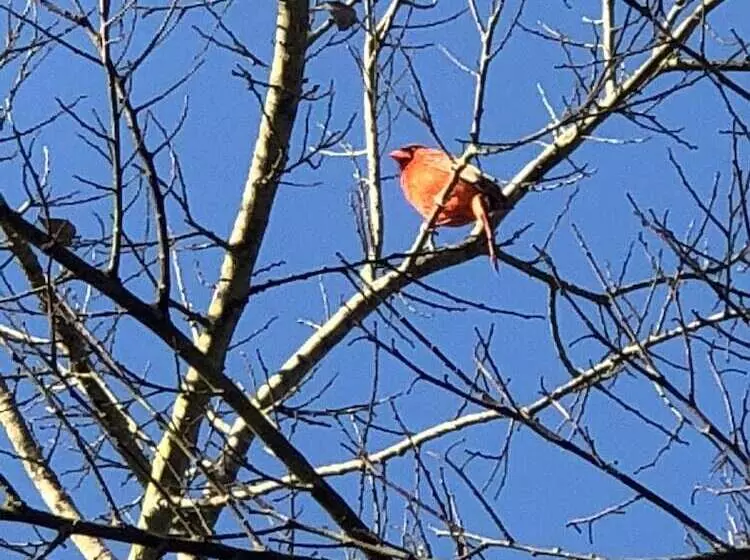 Gulfway Motel And Restaurant