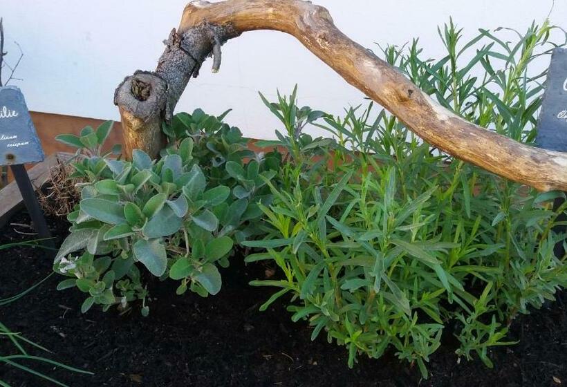 酒店 Wachbergbaude