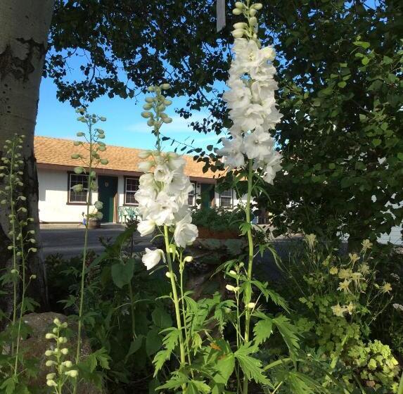 Schronisko Aspen Inn