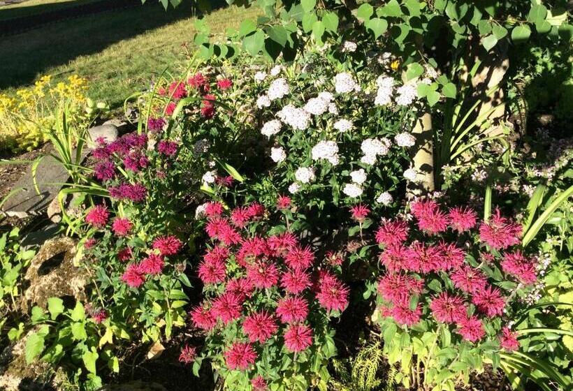 Schronisko Aspen Inn