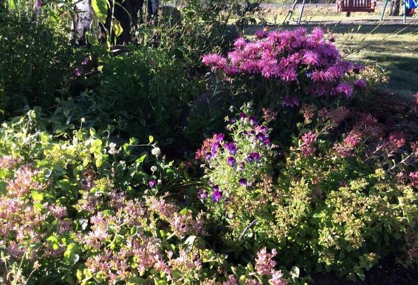 Schronisko Aspen Inn