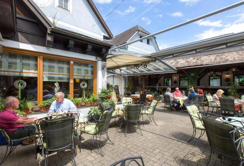 فندق صغير Gästehaus Thomahan