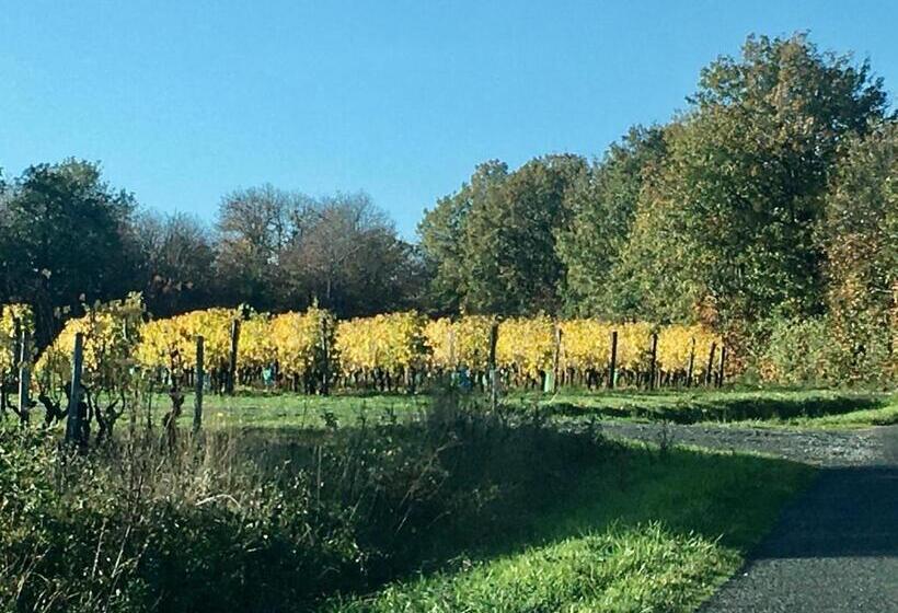 민박 La Maison Haute