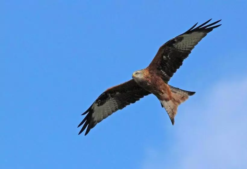 Aamiaismajoitus (B&B) Sound Of The River