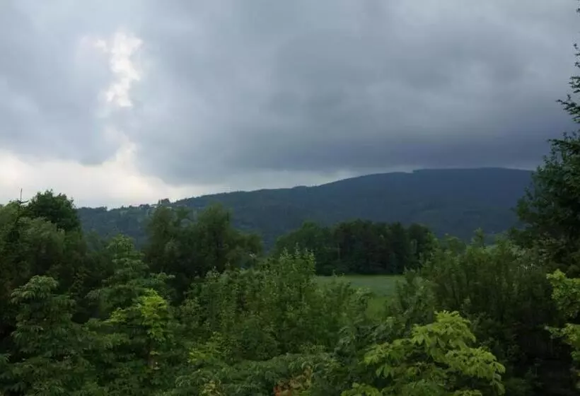 Gasthof Pension St. Wolfgang