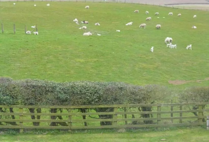 Hall Farm Bed & Breakfast