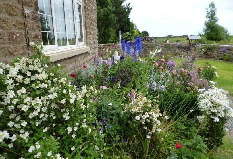 Hall Farm Bed & Breakfast