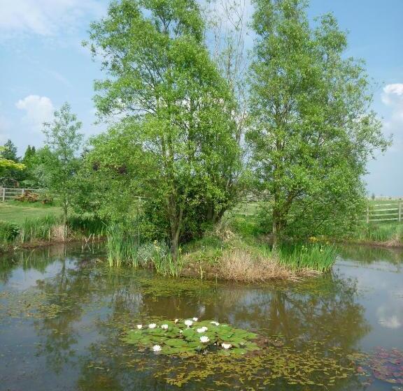 Hall Farm Bed & Breakfast