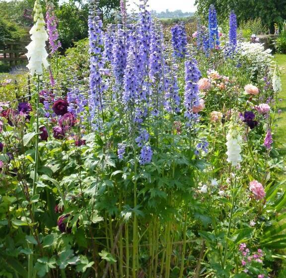 Hall Farm Bed & Breakfast