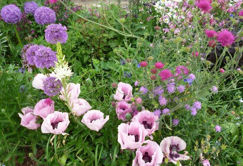 Hall Farm Bed & Breakfast