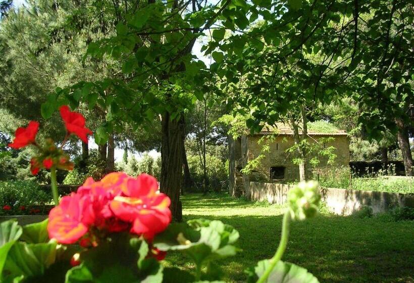 בית מלון כפרי Agriturismo Il Piaggione