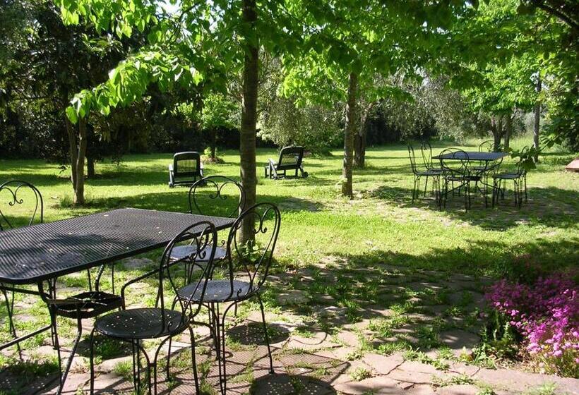 בית מלון כפרי Agriturismo Il Piaggione