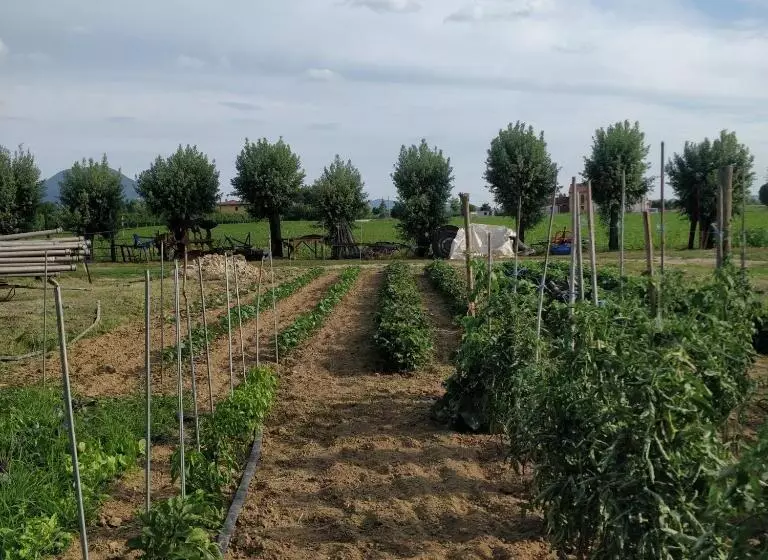 ホテル Agriturismo L Albara   Wines, Pool & Spa