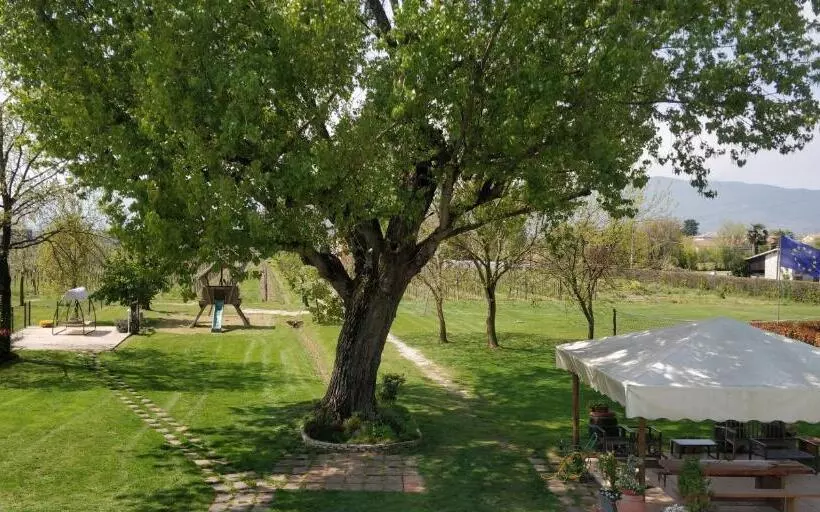 ホテル Agriturismo L Albara   Wines, Pool & Spa