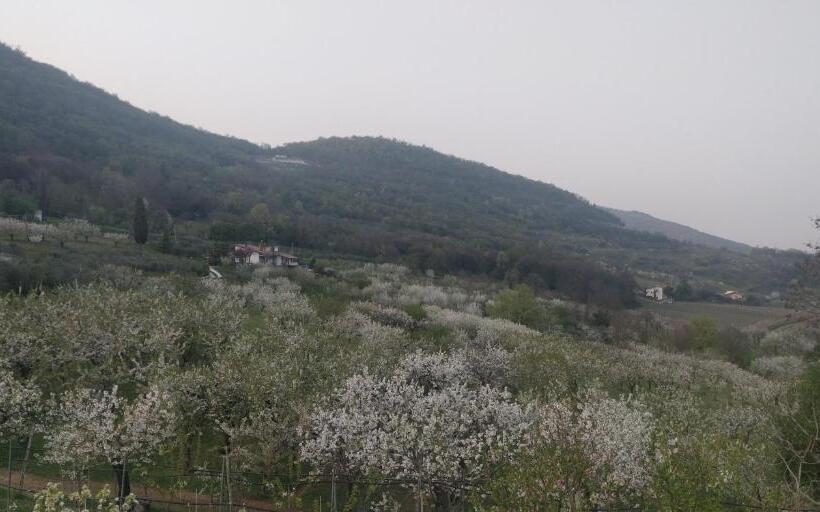 בית מלון כפרי Agriturismo L Albara   Wines, Pool & Spa