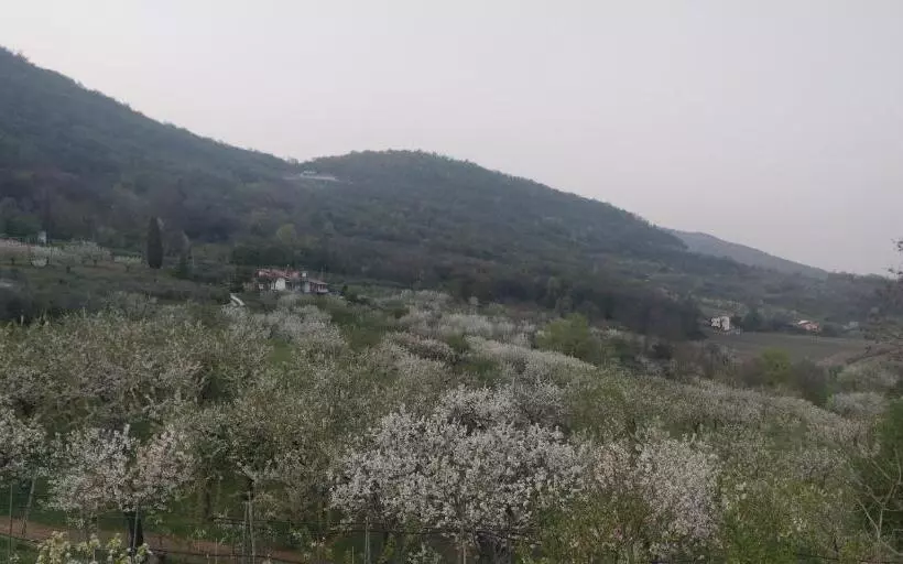ホテル Agriturismo L Albara   Wines, Pool & Spa