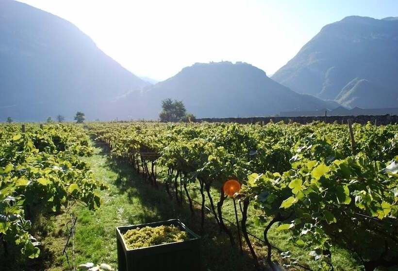 فندق Agriturismo Salizzoni