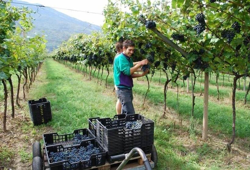 فندق Agriturismo Salizzoni