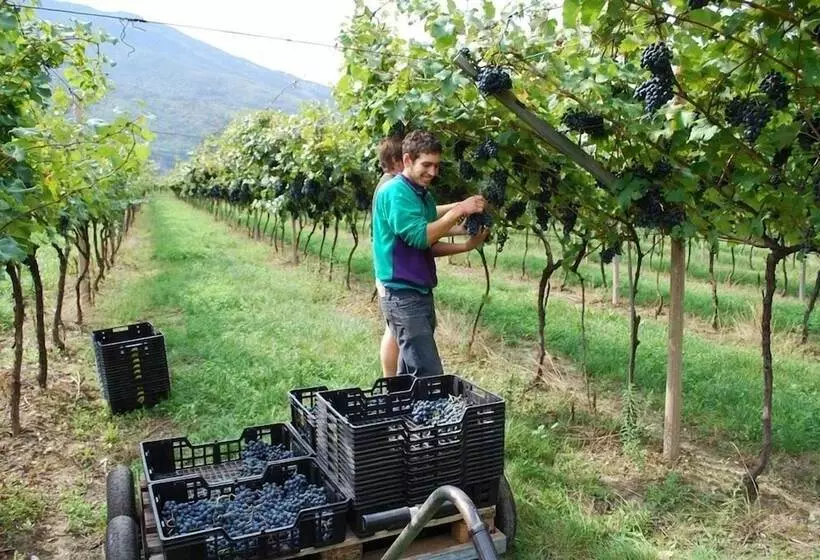 Hotelli Agriturismo Salizzoni