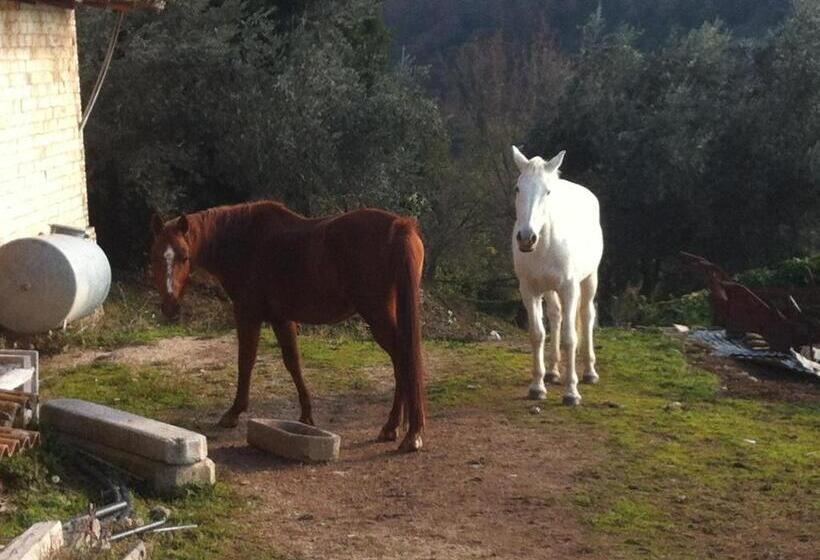 ホテル Agriturismo Villa Gabbiano