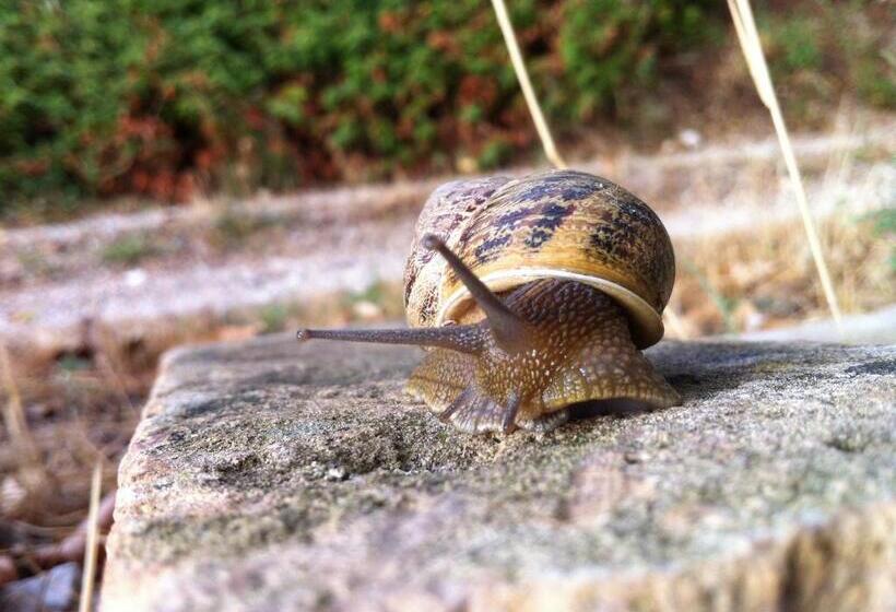 ホテル Agriturismo Villa Gabbiano