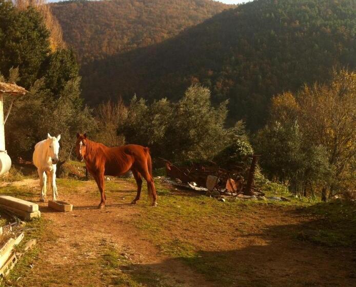 ホテル Agriturismo Villa Gabbiano