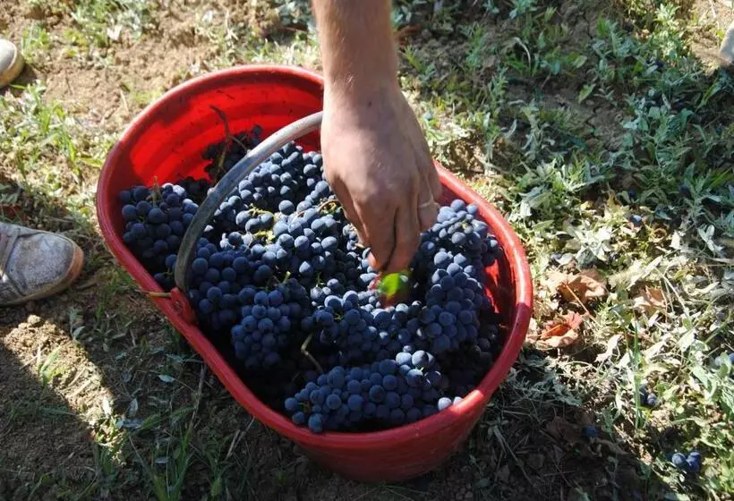 Hotelli La Rondanina