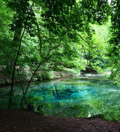 호텔 Logis La Source Bleue