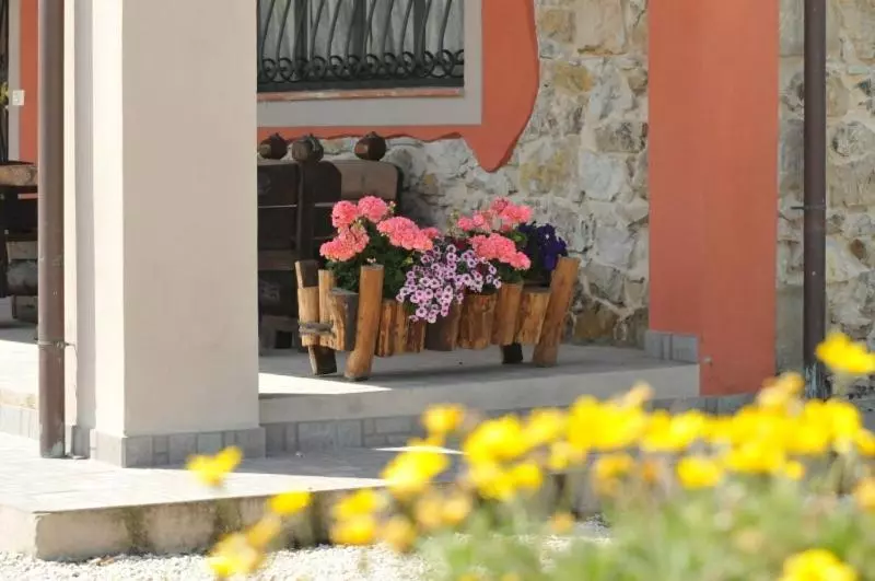 Olivia B&b And Apartment