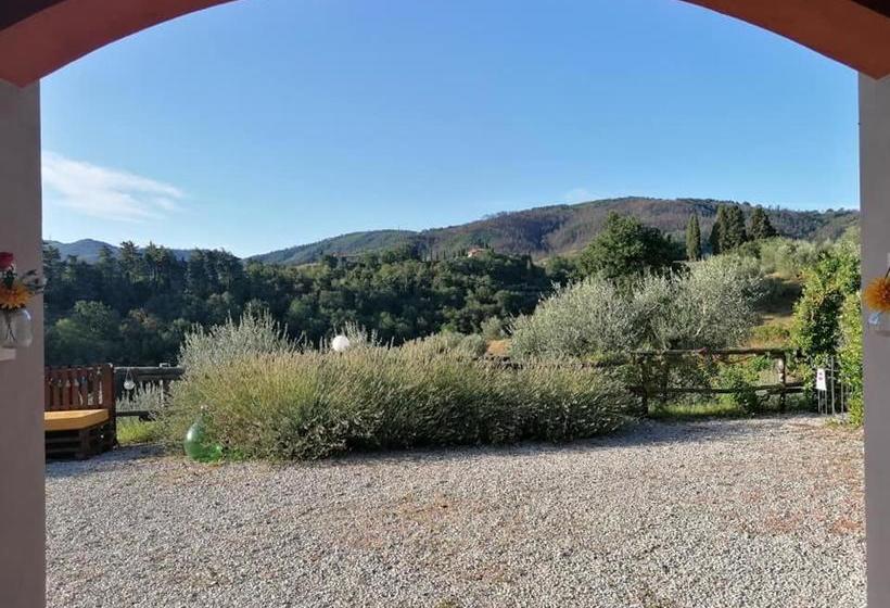 Olivia B&b And Apartment