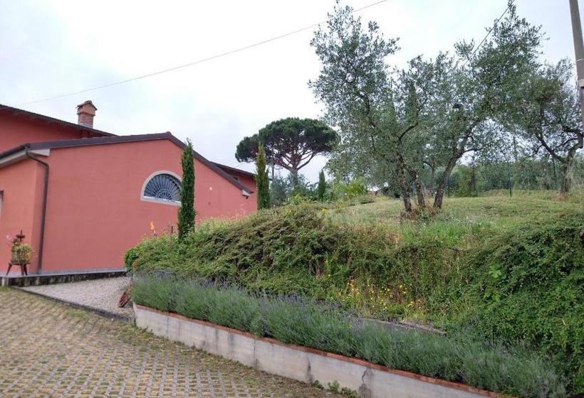 Olivia B&b And Apartment