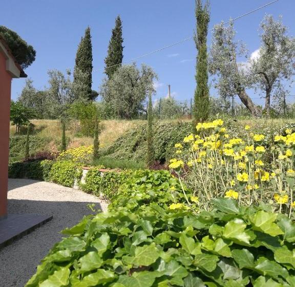 Olivia B&b And Apartment