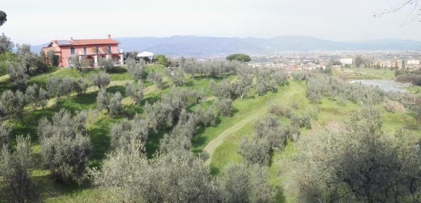 Olivia B&b And Apartment