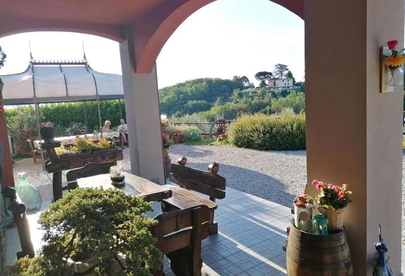 Olivia B&b And Apartment