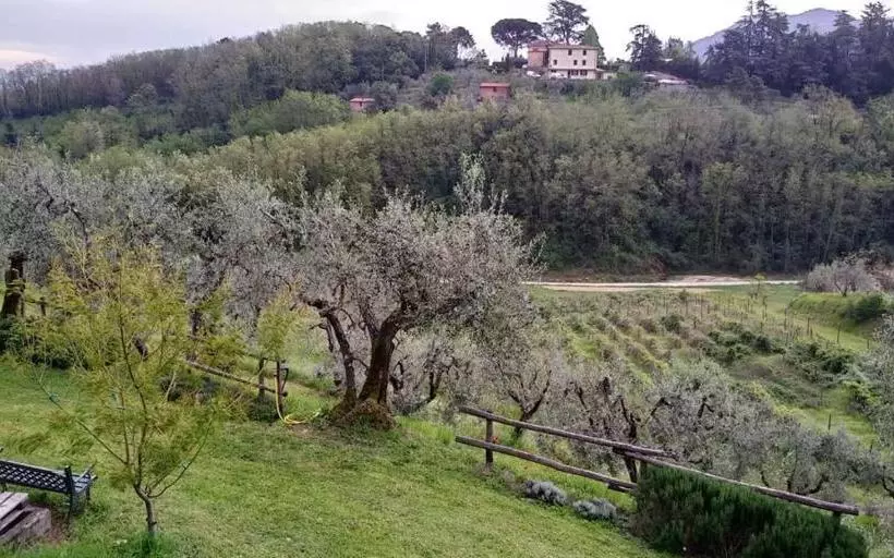 Olivia B&b And Apartment