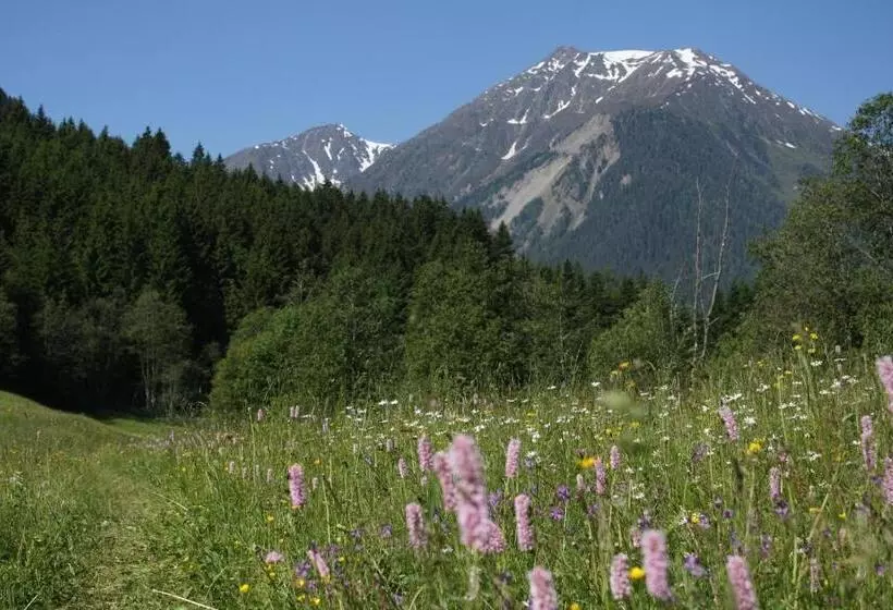 ペンション Adlerhorst