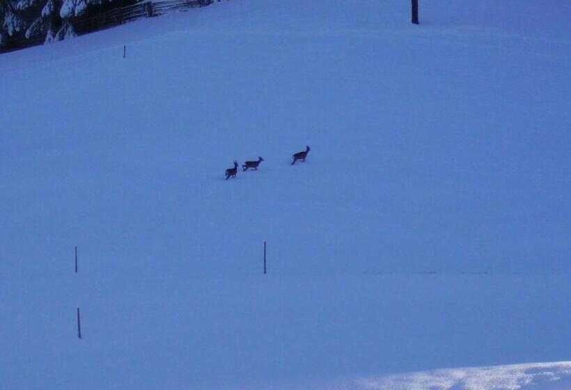 ペンション Adlerhorst